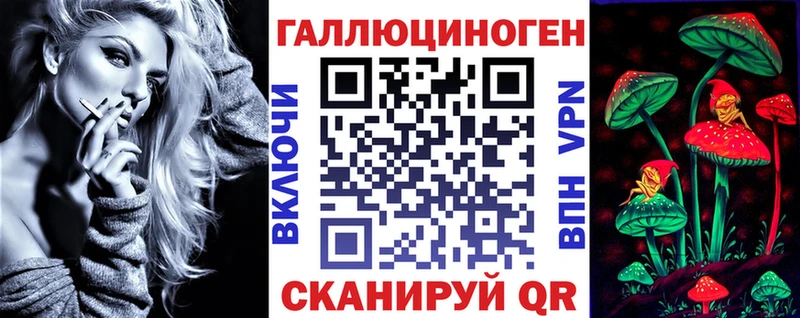 Купить  Торжок  Галлюциногенные грибы Psilocybe 